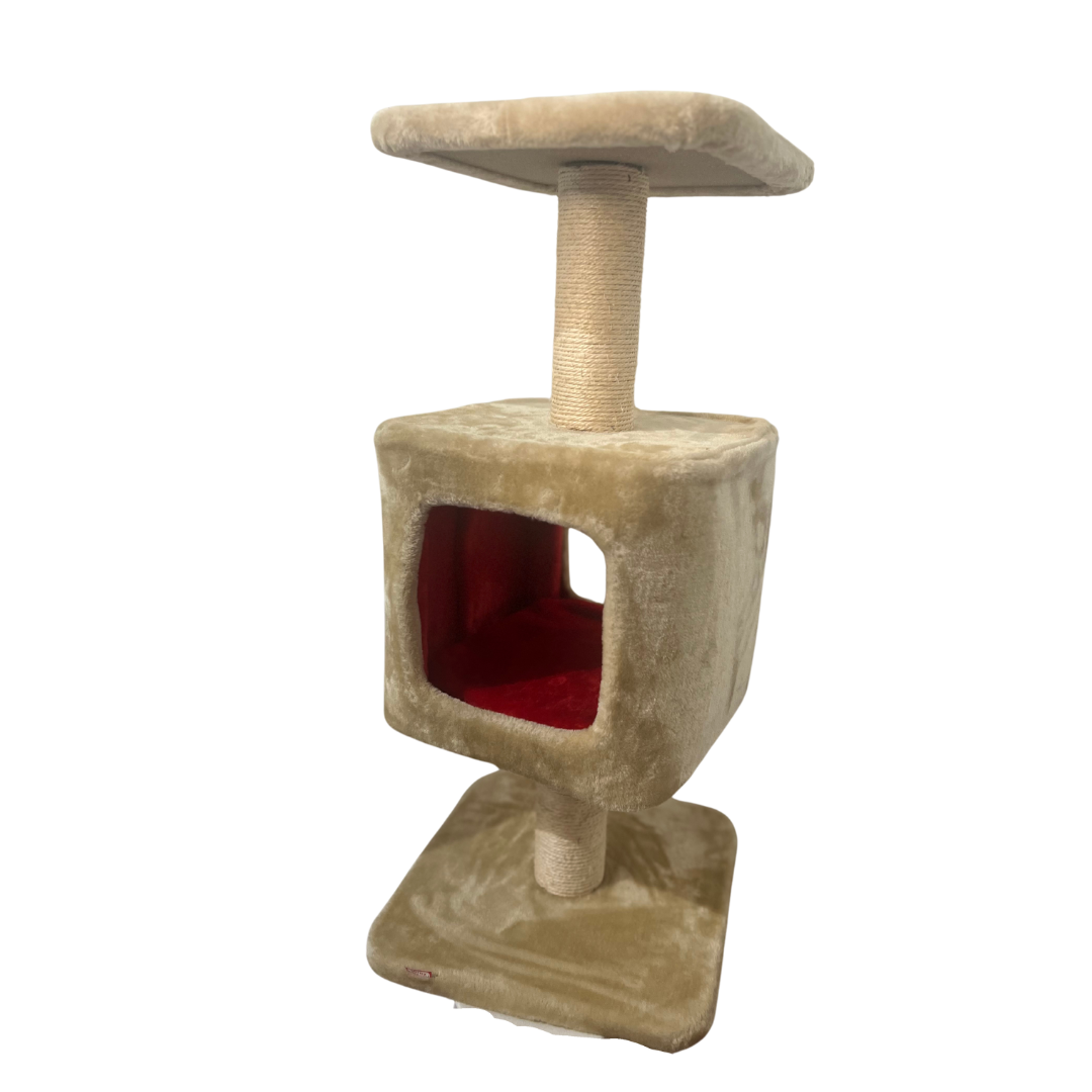 Cat Scratcher - Medium